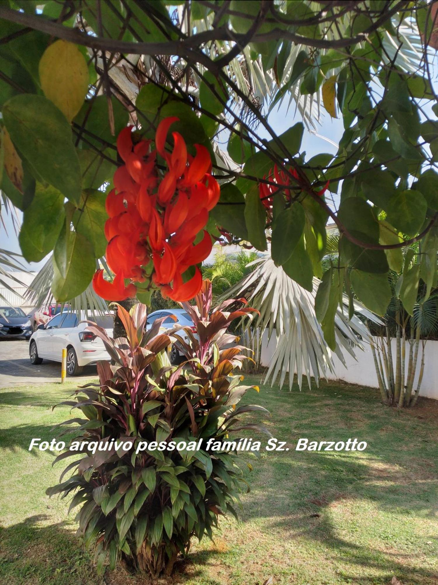 Apartamento Encontro Aguas *