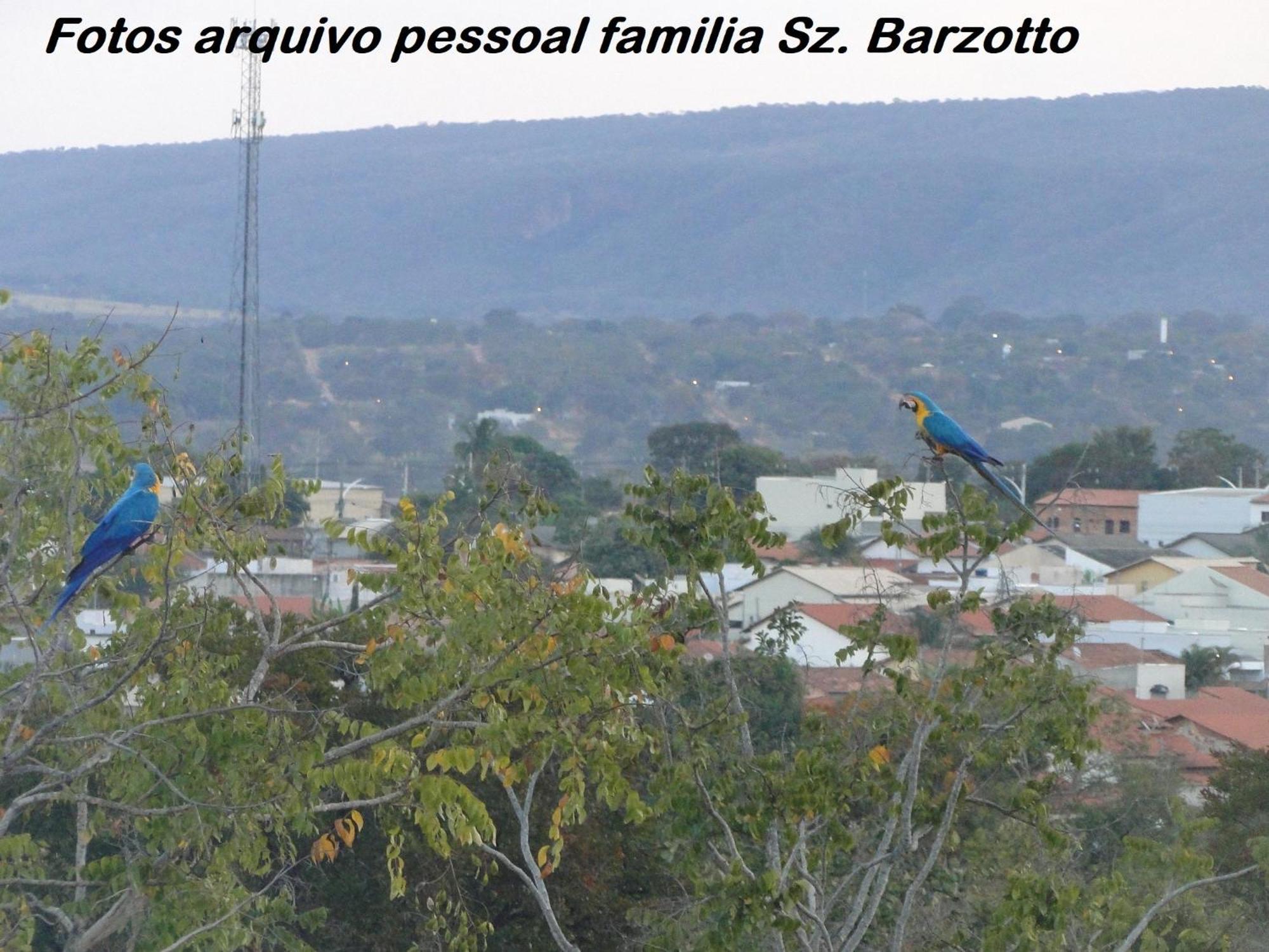 Apartamento Encontro Aguas